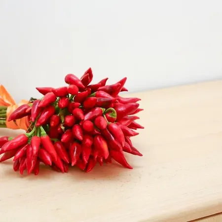 Mit Wasserblick By Interhome Сasa de vacaciones *